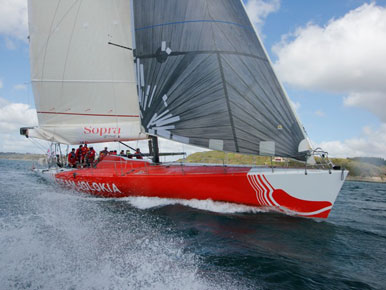 Course Croisière EDHEC :  mission réussie pour le Team Jolokia !